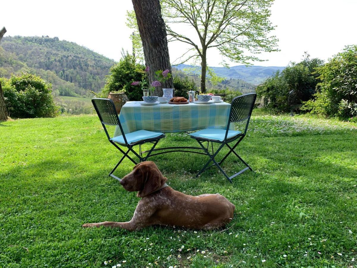 Antico Borgo Di Sugame Villa Greve in Chianti Bagian luar foto